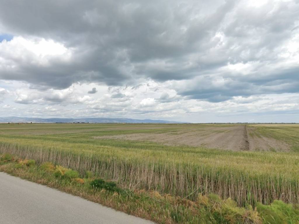 Terreno a Manfredonia in Strada Provinciale Ortanova Borgo Inacquata - Foto 4