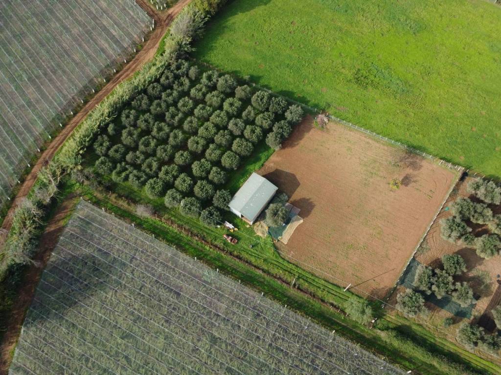 Terreno a Cisterna di latina in Via Plinio il Vecchio, 46 - Foto 2