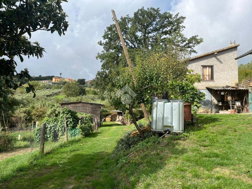 Terreno a Amelia in LOCALITA` MONTECAMPANO - Foto 2