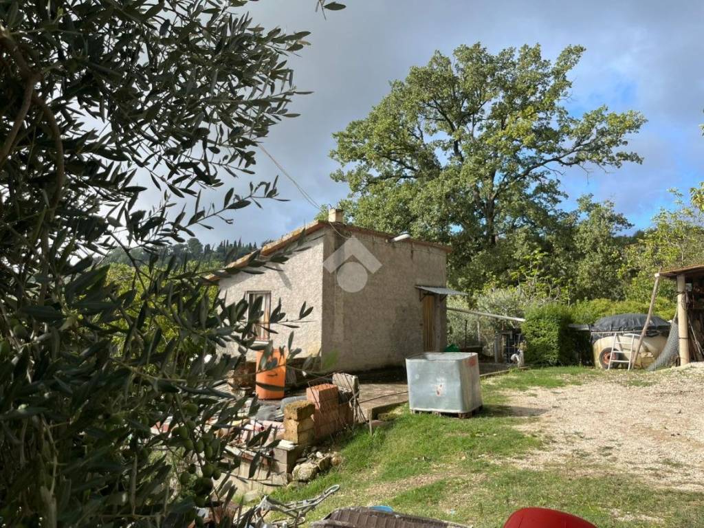 Terreno a Amelia in LOCALITA` MONTECAMPANO - Foto 3