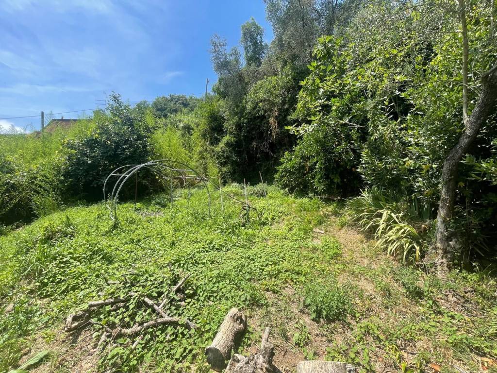 Villa a Ameglia - Foto 2
