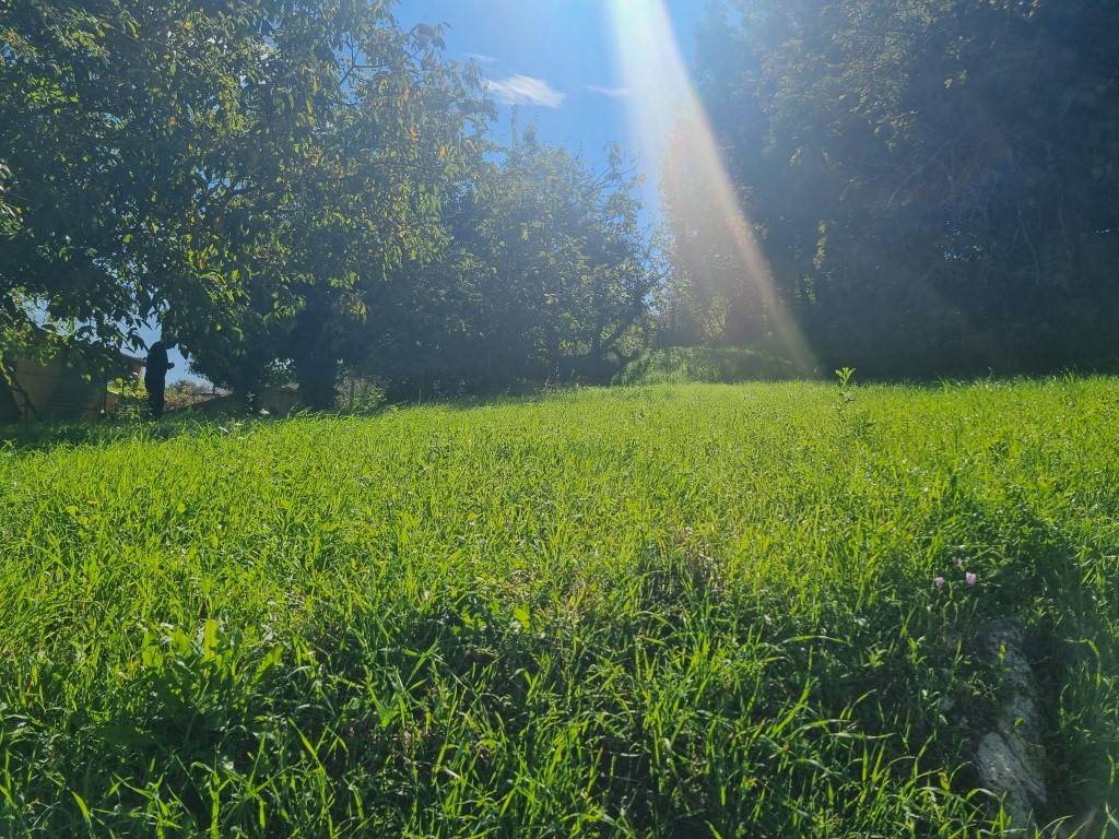 Terreno a Aiello del sabato in Via Monte - Foto 4