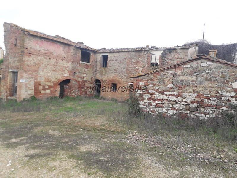 Terreno a Asciano - Foto 4