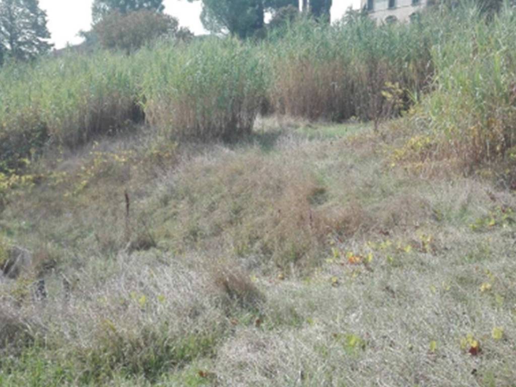 Terreno a Buggiano in via provinciale pistoiese - Foto 3