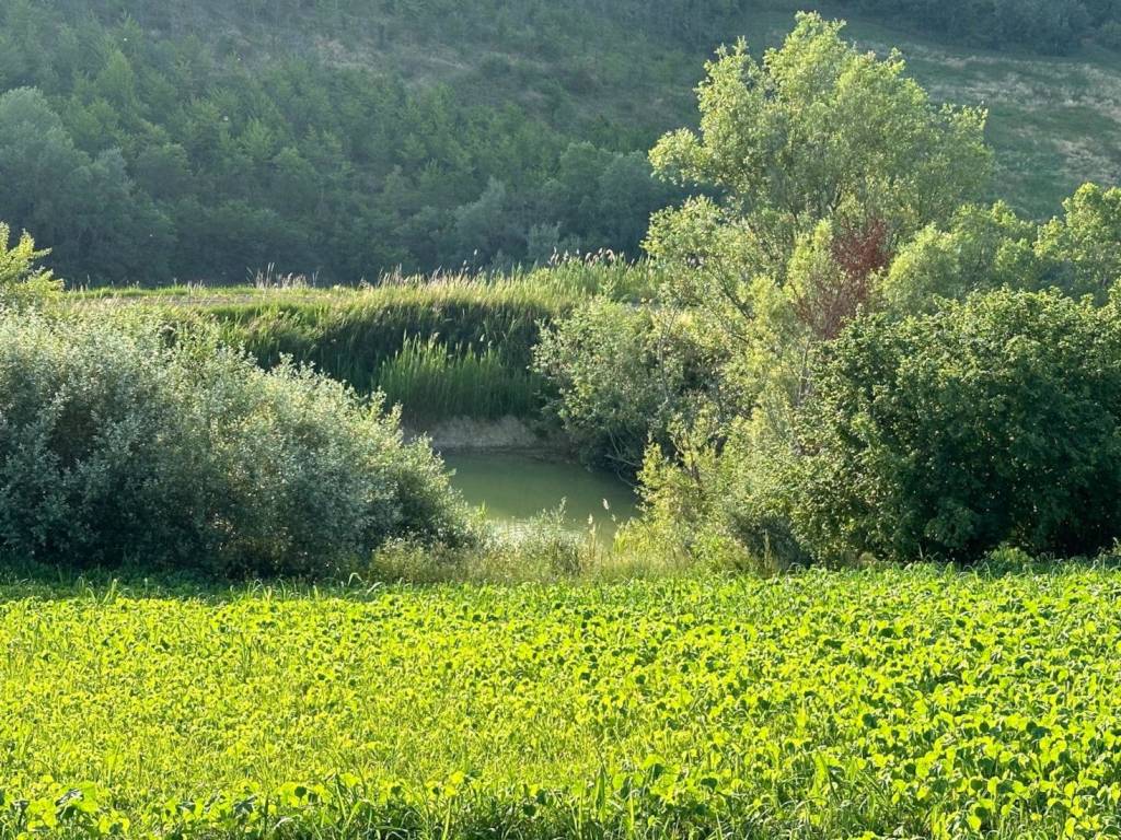 Rustico / casale a Atri - Foto 2