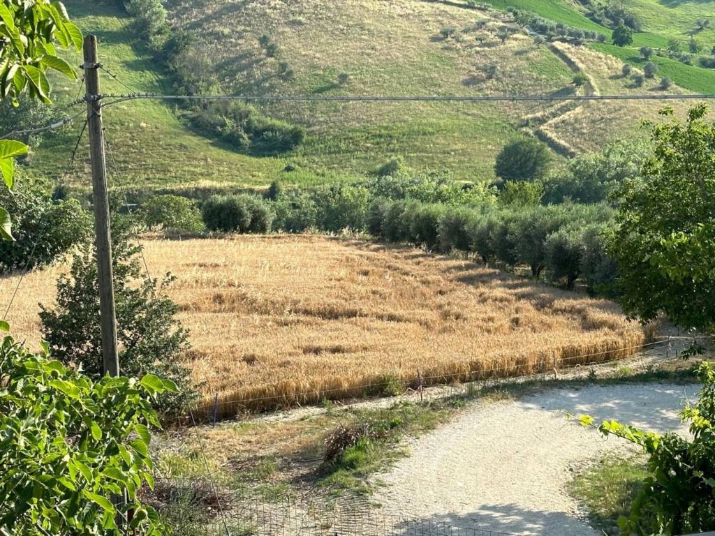 Rustico / casale a Atri - Foto 4
