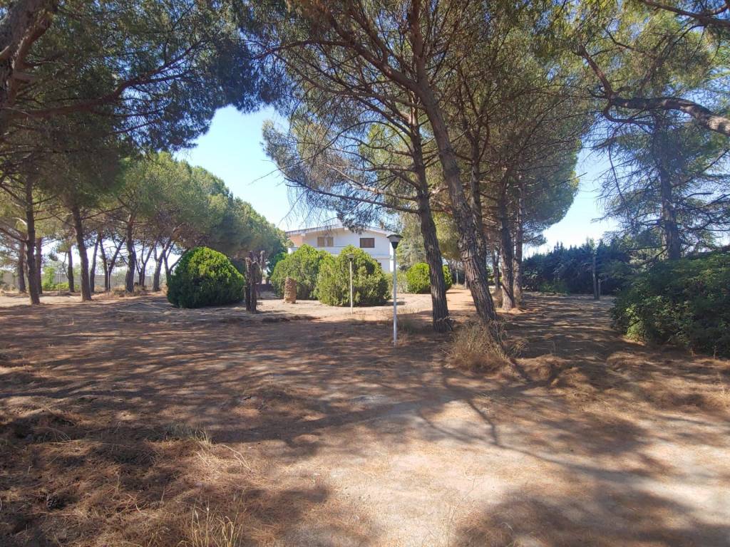 Villa a Barletta - Foto 2