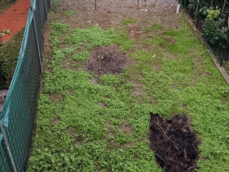 Casa indipendente a Altopascio - Foto 4