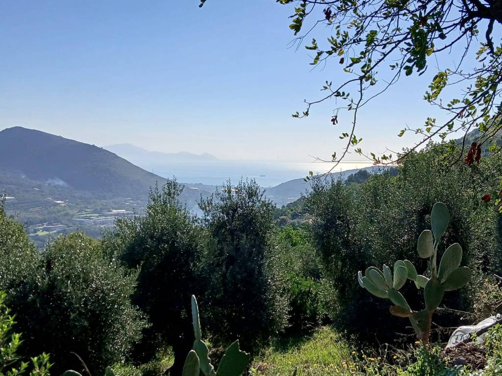 Terreno a Itri in Contrada Bucefalo - Foto 2
