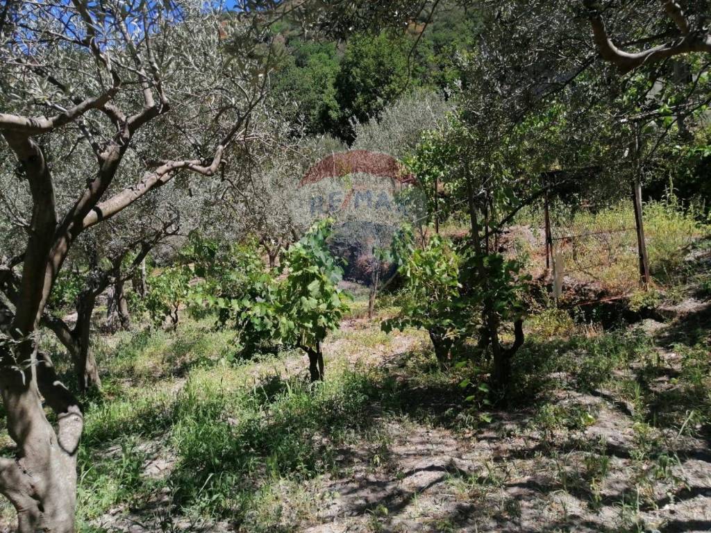 Rustico / casale a Antillo in C/da Macari - Foto 3