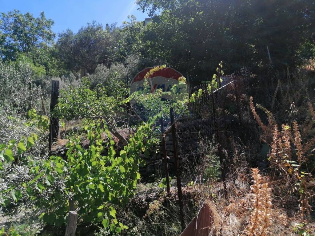 Rustico / casale a Antillo in C/da Macari - Foto 4