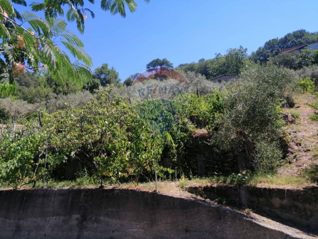 Rustico / casale a Antillo in C/da Macari - Foto 5