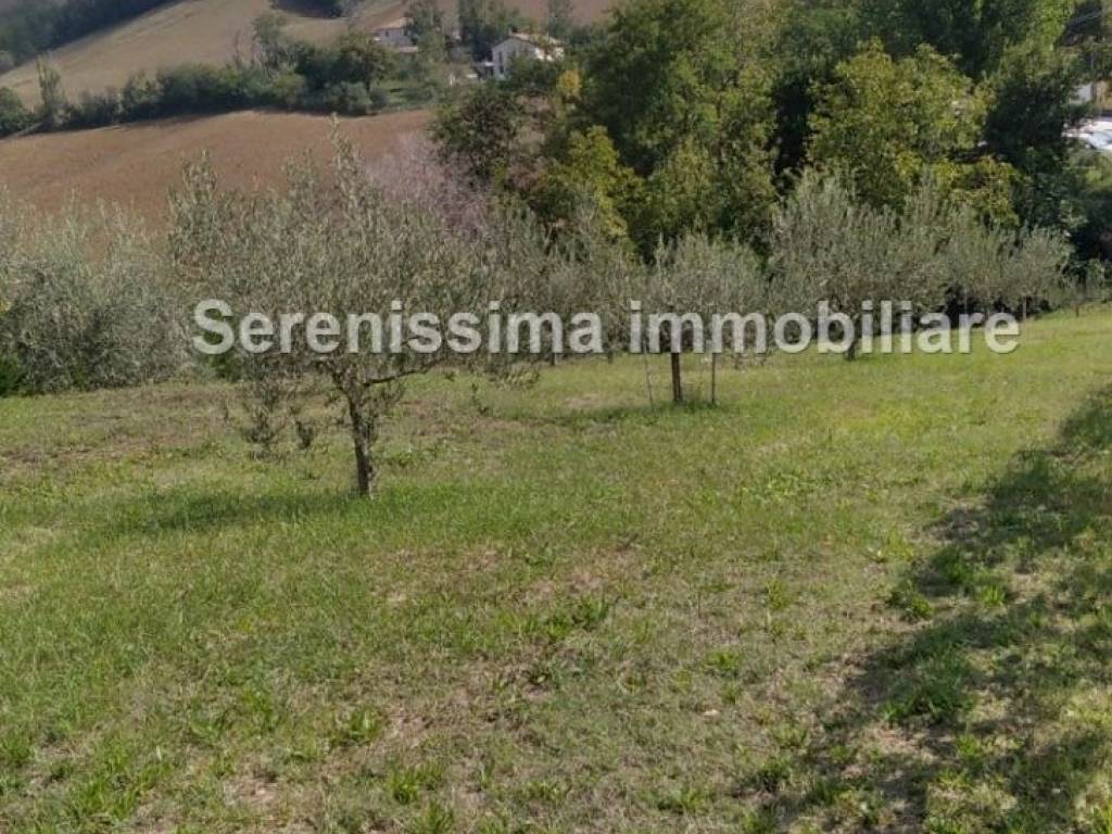 Villa a Petriano - Foto 4