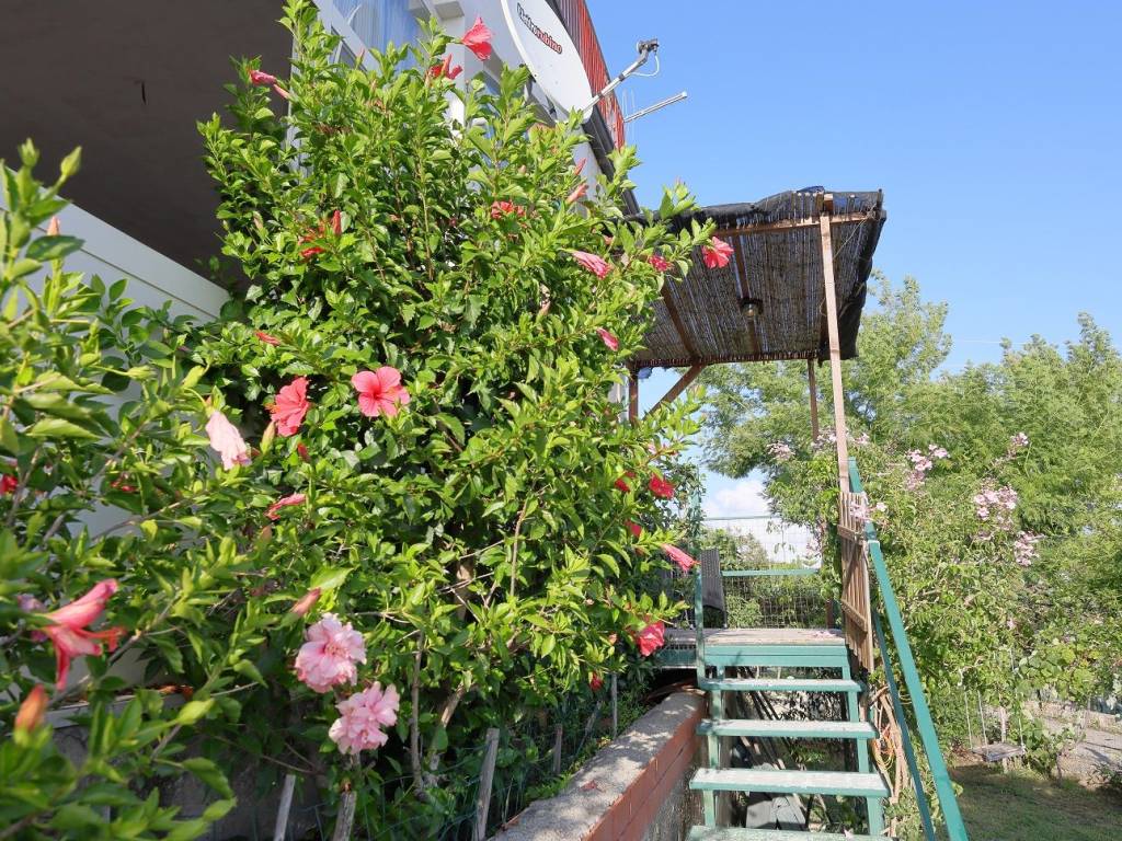 Appartamento a Centola in Via Nazionale - Foto 3