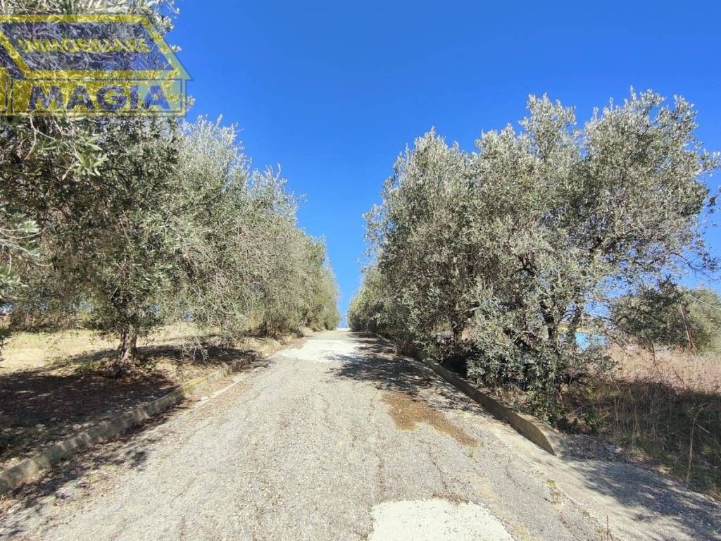 Terreno a Monteprandone in CONTRADA SAN DONATO - Foto 3