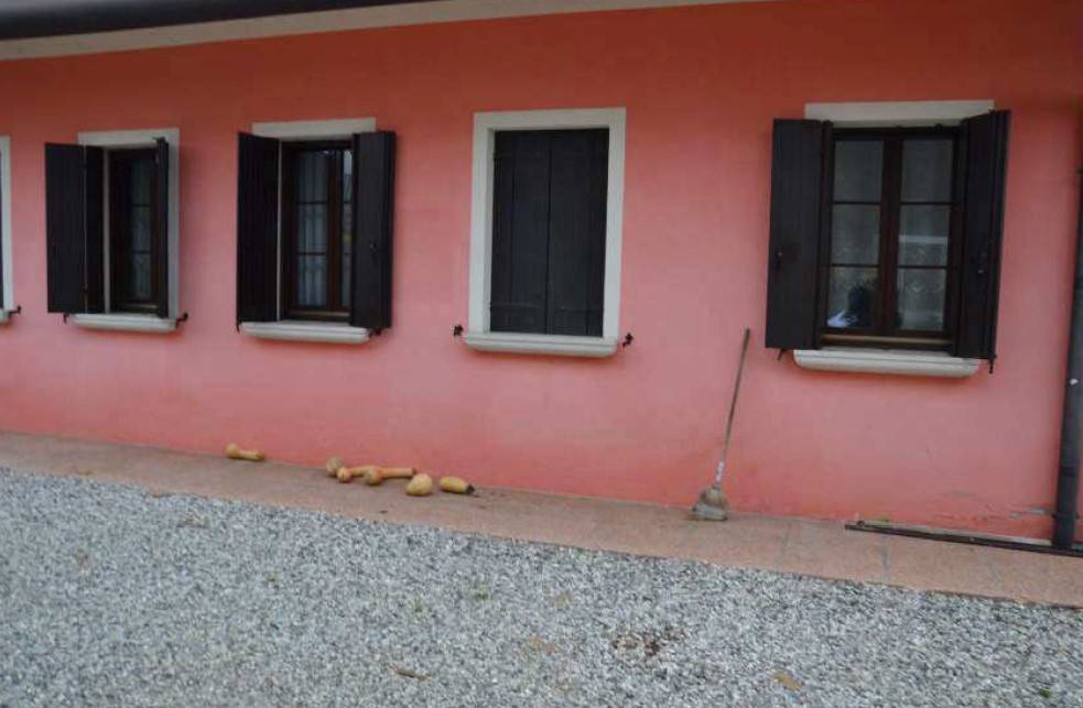 Casa indipendente a Borgoricco in Via Pelosa, 91 - Foto 4