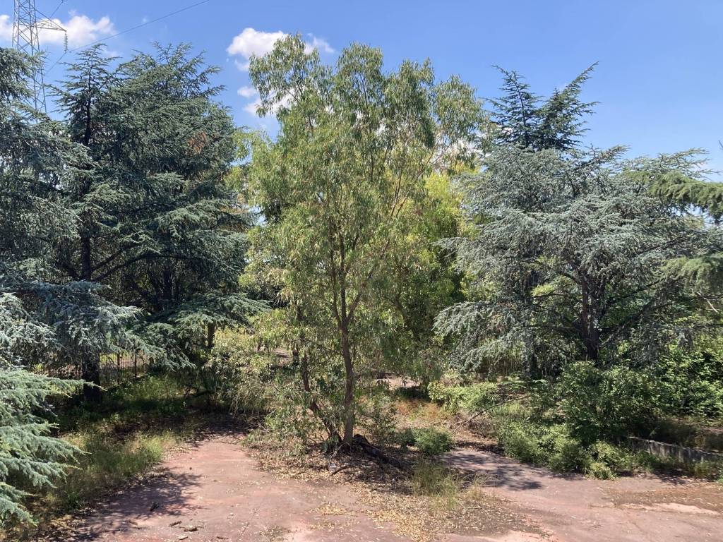 Immobile a Capua in Via Galatina - Foto 5