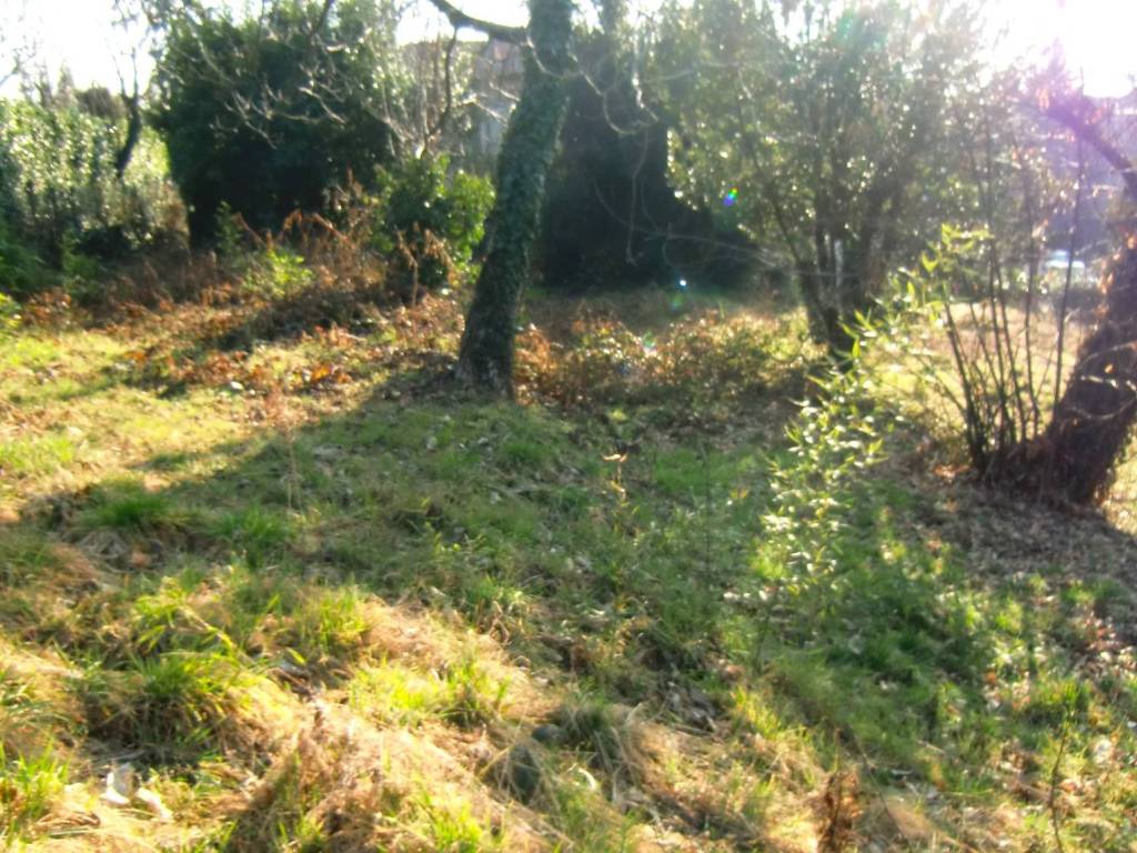 Terreno a Merate - Foto 2