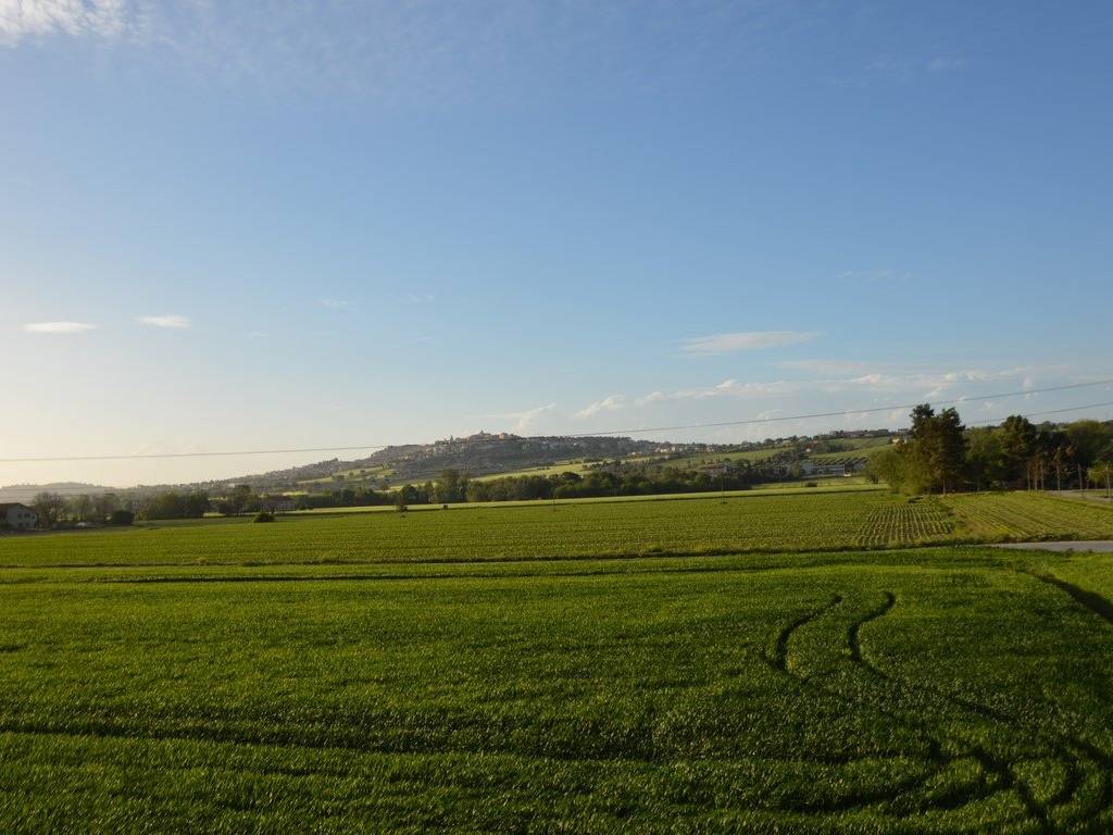 Terreno a Recanati - Foto 3