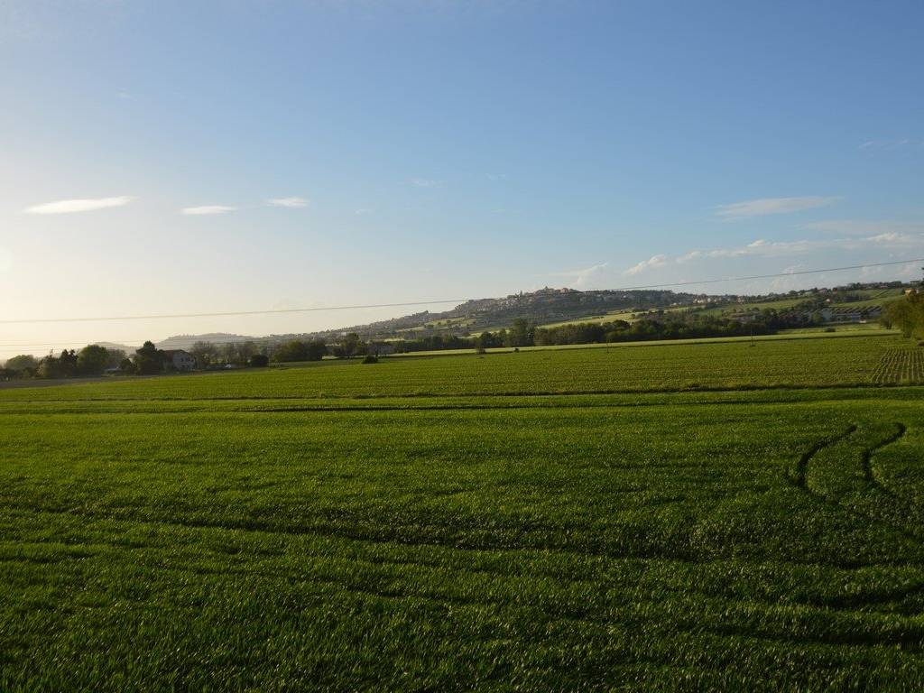 Terreno a Recanati - Foto 4