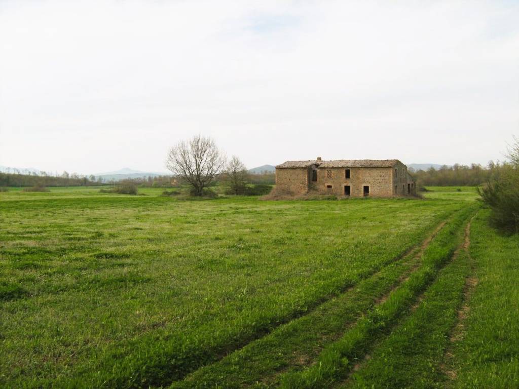 Terreno a Acquapendente in Località Morello - Foto 2