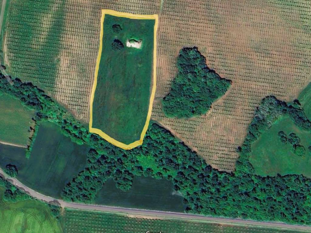 Terreno a Acquapendente in Località Morello - Foto 5