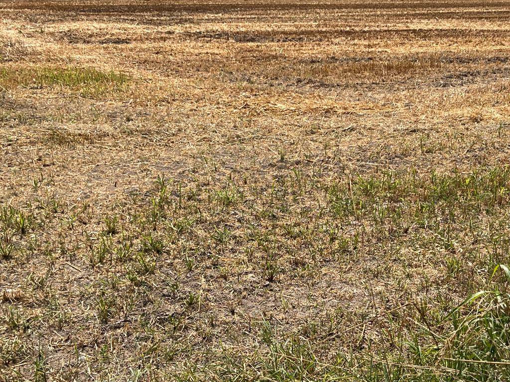 Terreno a Ceresara in Via Roma - Foto 2