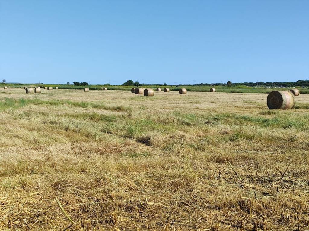 Terreno a Montalto di castro in Strada del Casalaccio - Foto 2