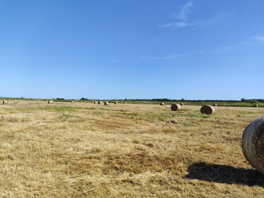 Terreno a Montalto di castro in Strada del Casalaccio - Foto 4