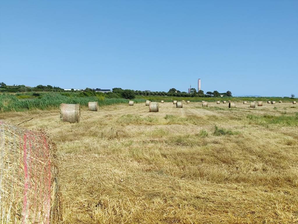 Terreno a Montalto di castro in Strada del Casalaccio - Foto 5