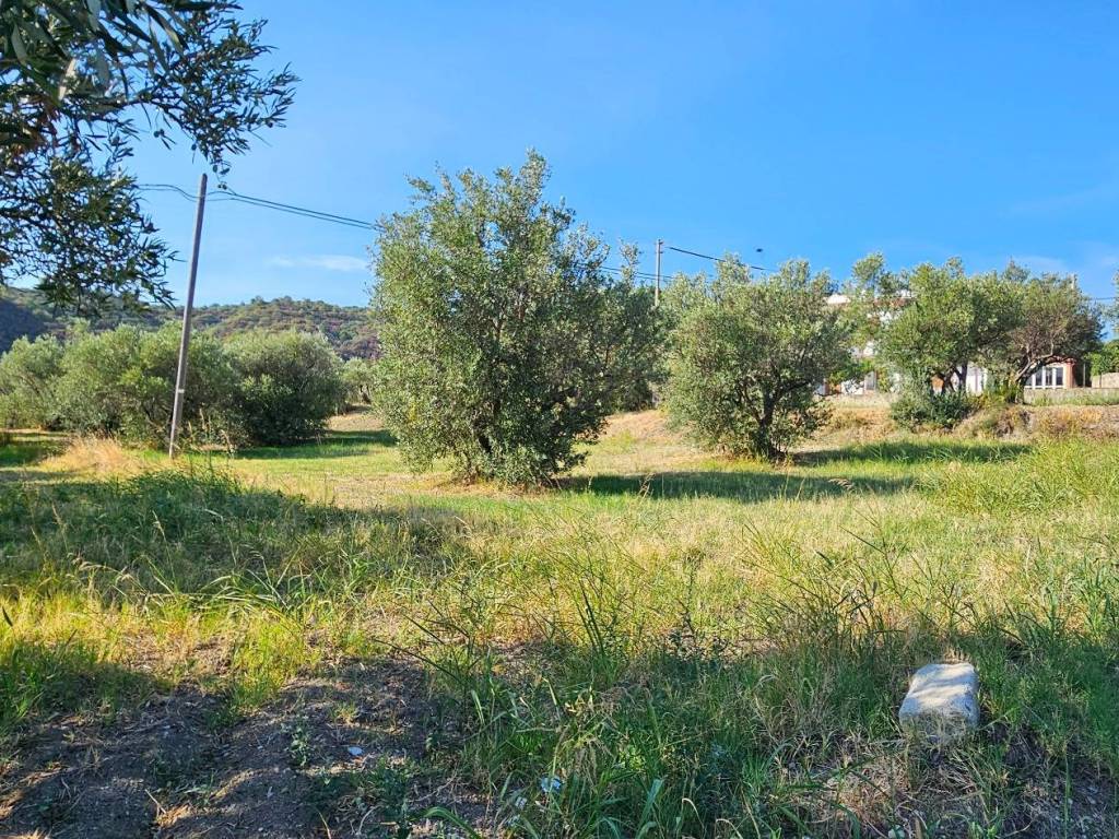 Terreno a Davoli in Via Manozzolo - Foto 2