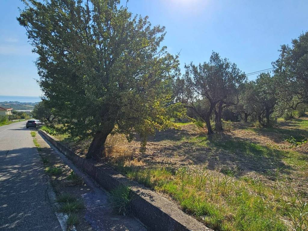 Terreno a Davoli in Via Manozzolo - Foto 3