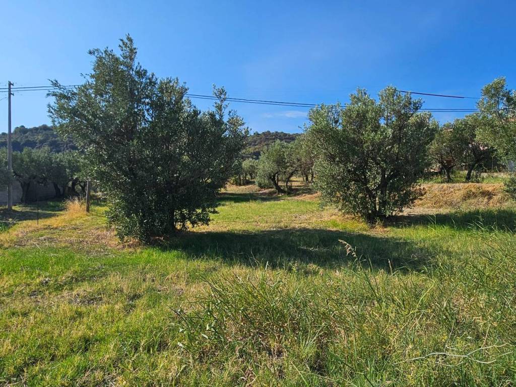 Terreno a Davoli in Via Manozzolo - Foto 4