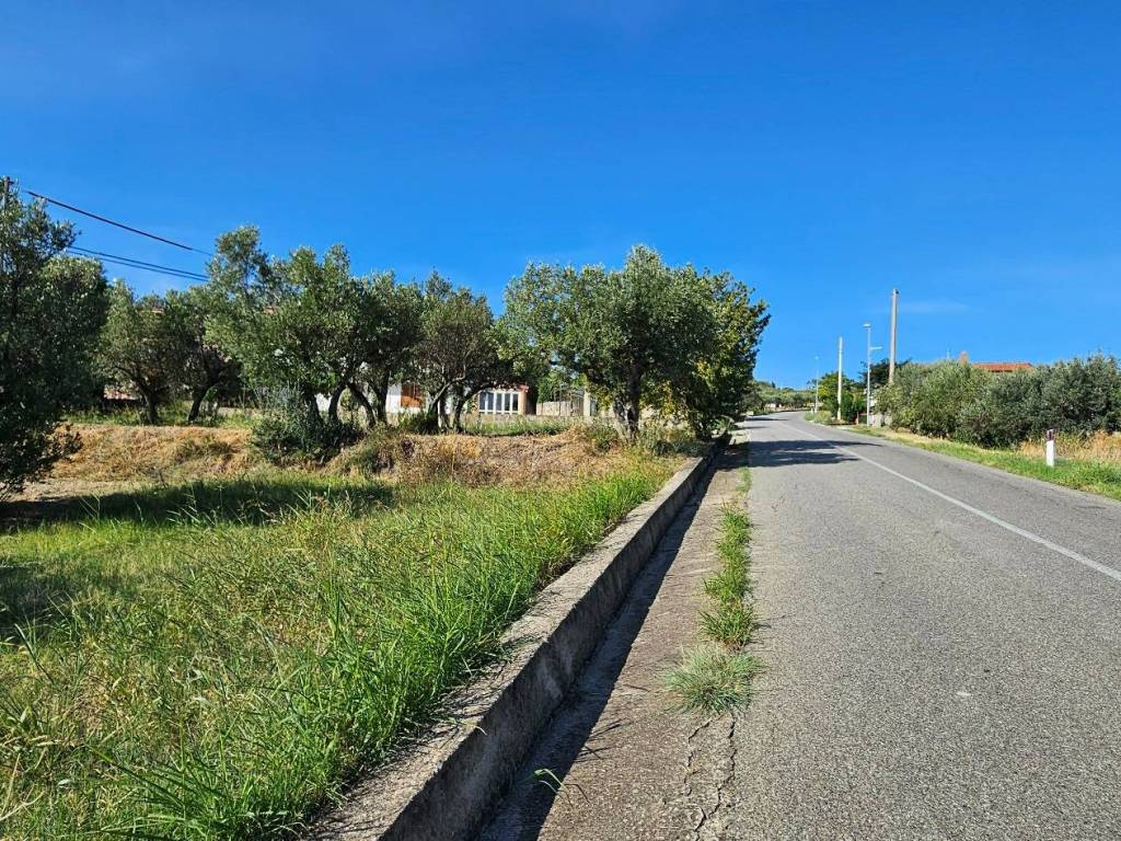 Terreno a Davoli in Via Manozzolo - Foto 5