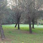 Rustico / casale a Avola - Foto 3