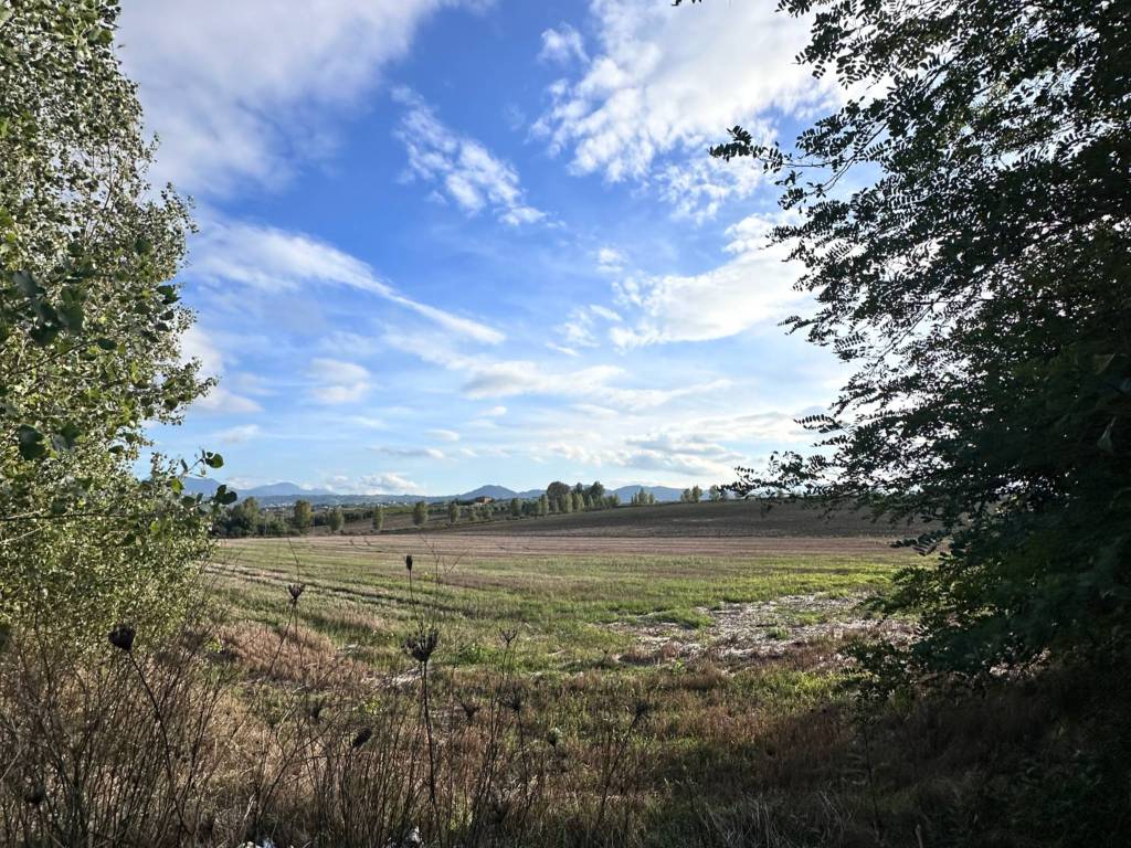 Terreno a San giorgio del sannio in Contrada San Giovanni a Morcopio - Foto 5