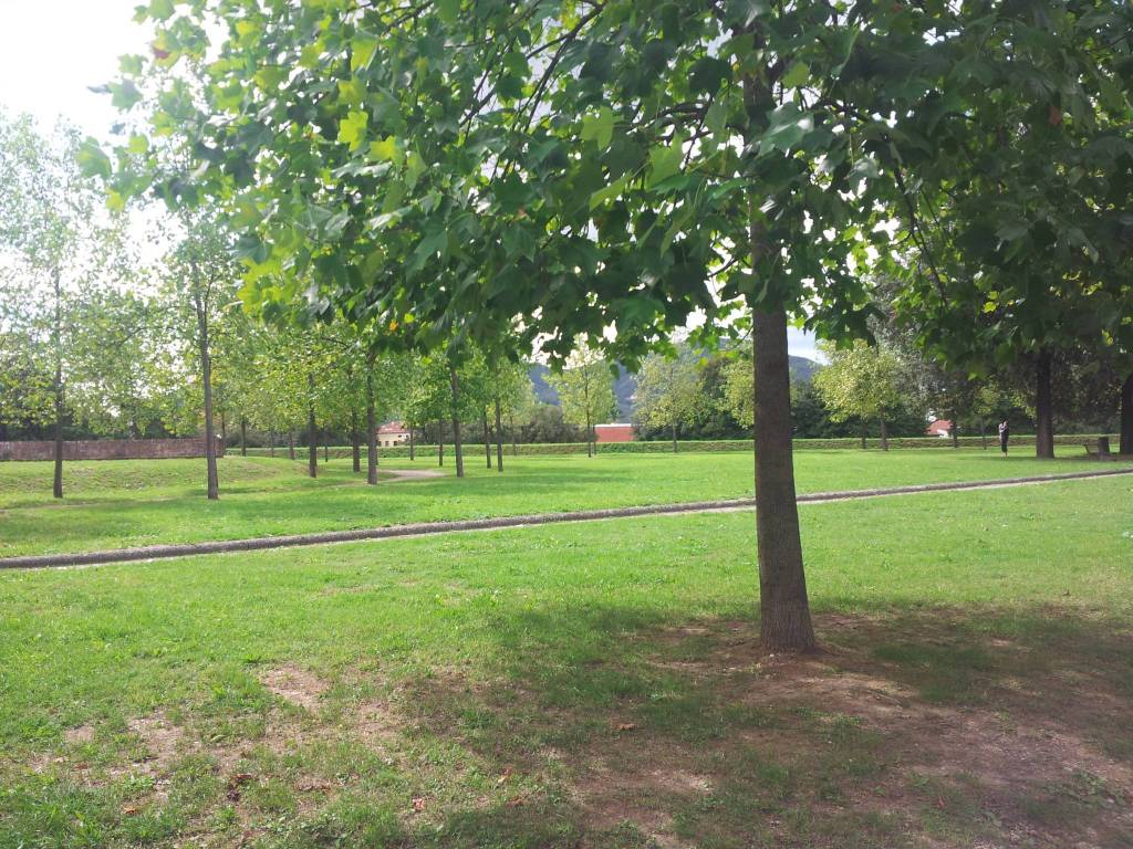 Rustico / casale a Lucca - Foto 4