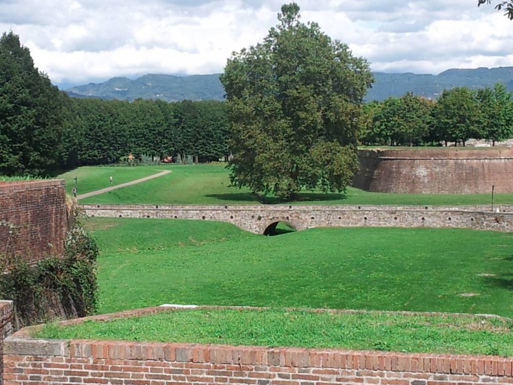 Rustico / casale a Lucca - Foto 5