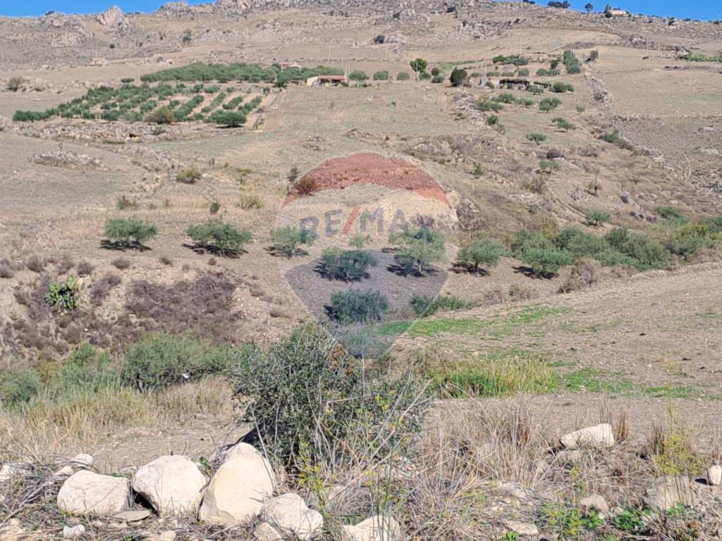 Terreno a Centuripe in strada provinciale 24 bis - Foto 2