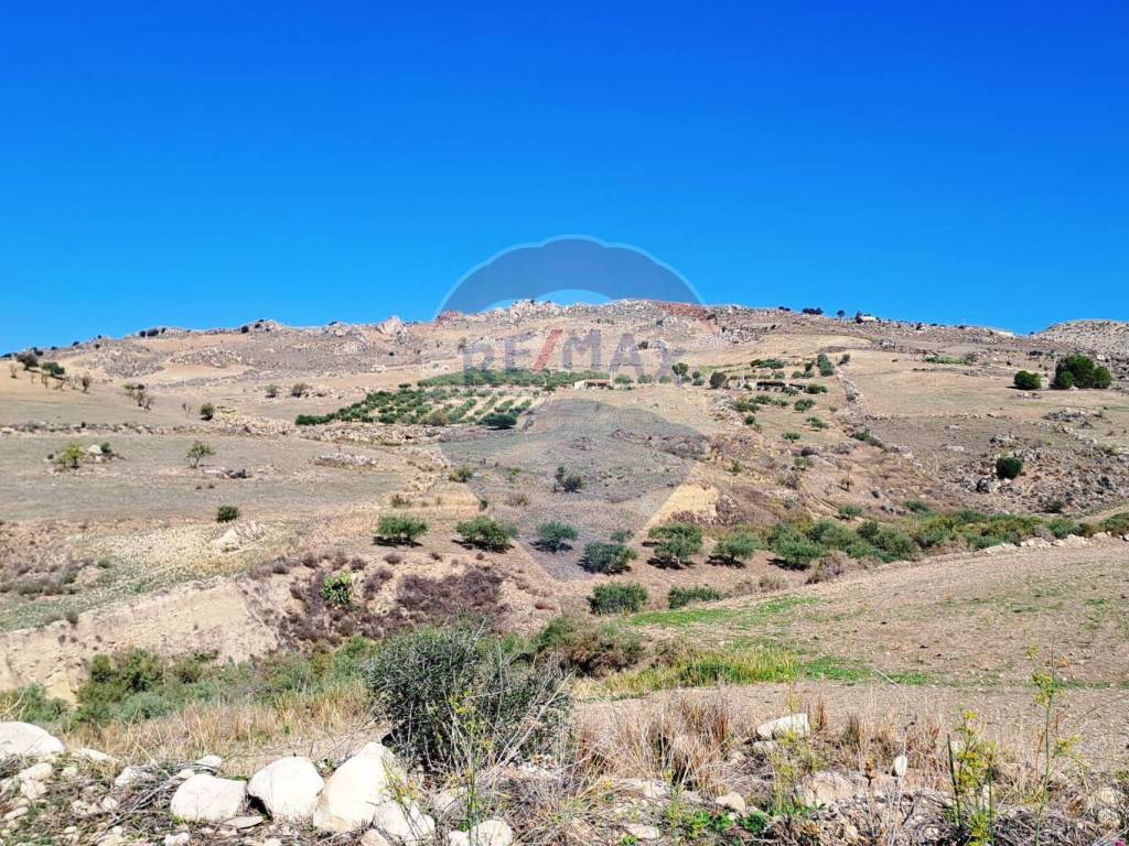 Terreno a Centuripe in strada provinciale 24 bis - Foto 3