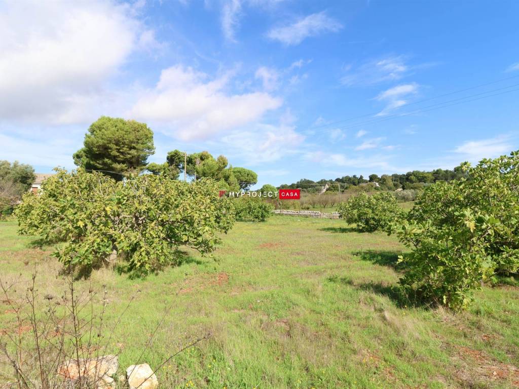 Rustico / casale a Ostuni in Contrada Cavallerizza - Foto 4