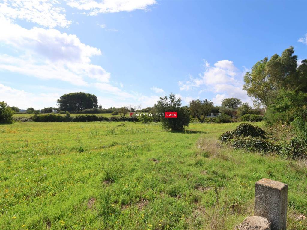 Rustico / casale a Ostuni in Contrada Cavallerizza - Foto 5