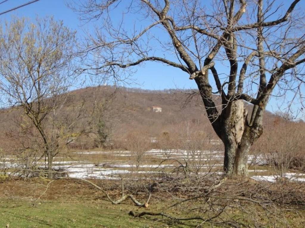 Terreno a Roccamonfina in Via Lattani - Foto 5