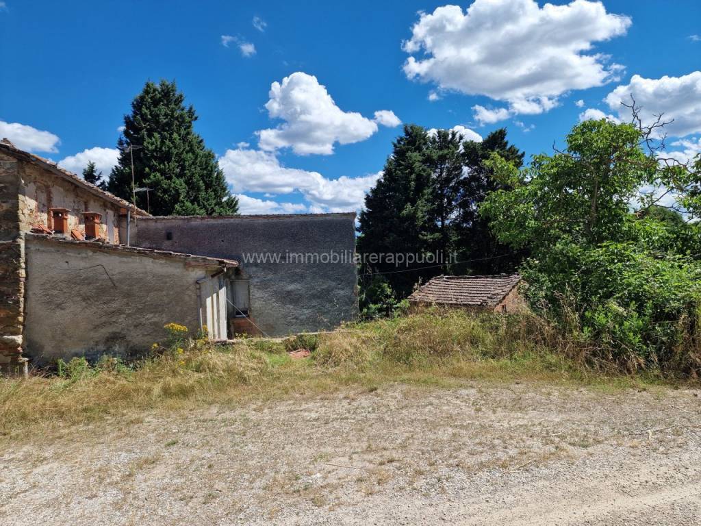 Rustico / casale a Sinalunga - Foto 2