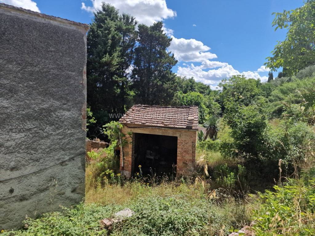 Rustico / casale a Sinalunga - Foto 4