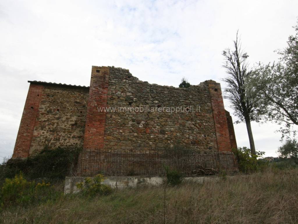 Rustico / casale a Sinalunga - Foto 4