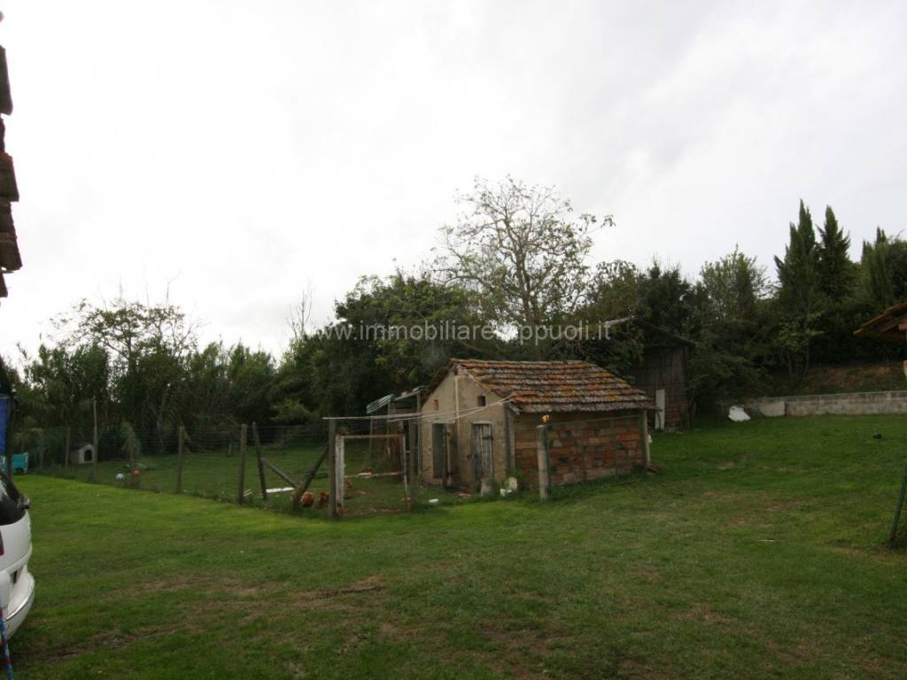 Rustico / casale a Montepulciano - Foto 3