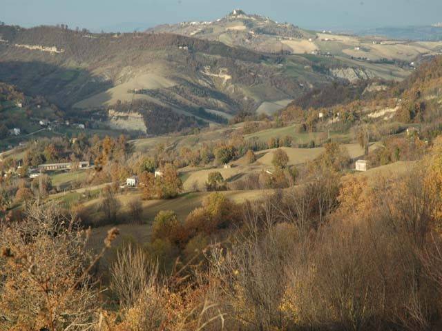 Rustico / casale a Force in Strada Provinciale 93, 11 - Foto 3