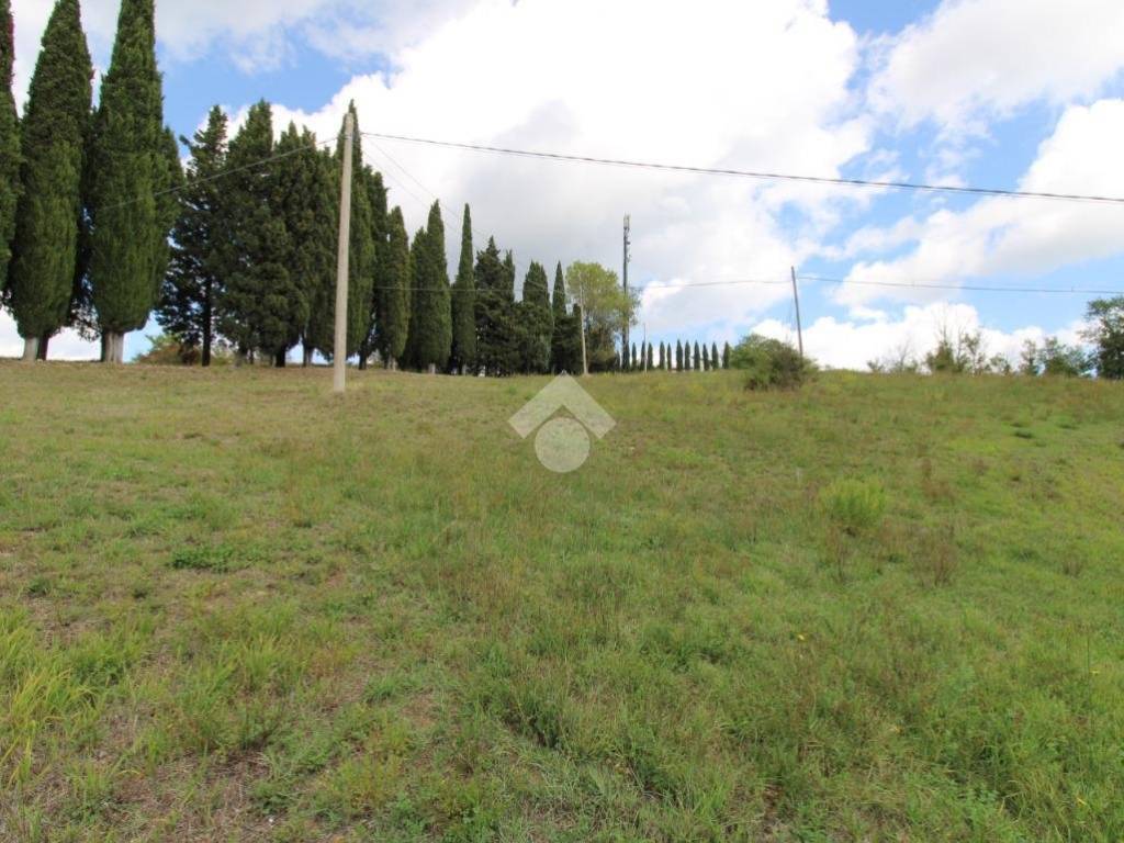 Terreno a Monte grimano terme in Via per S. Marino, 33 - Foto 3