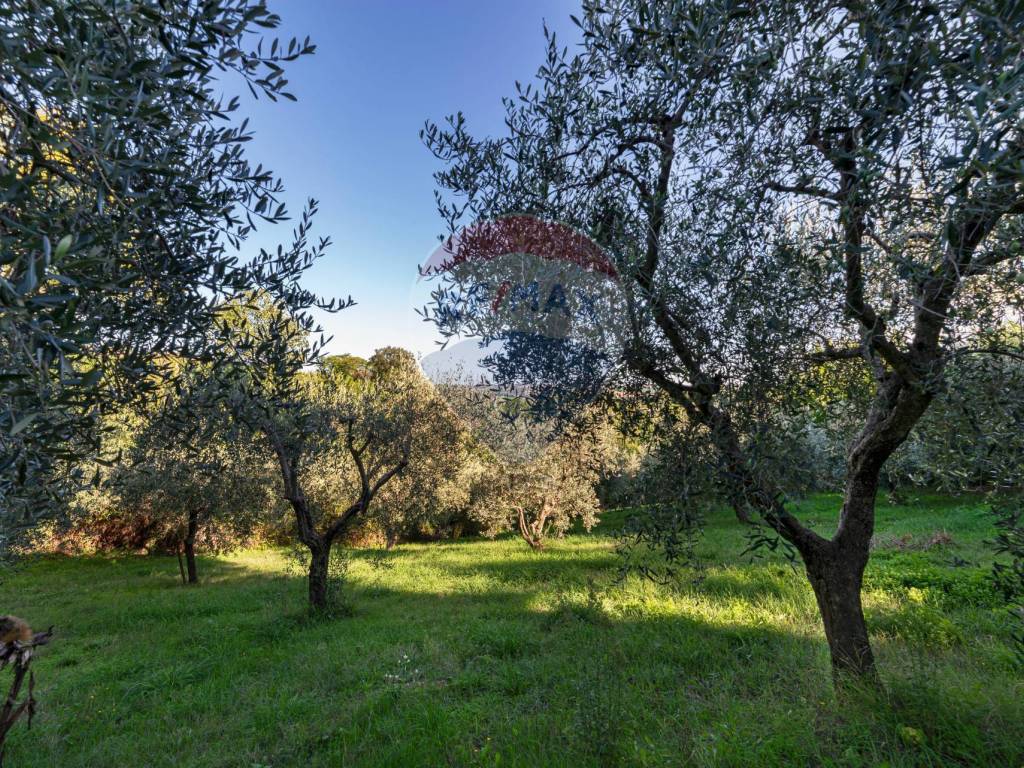 Casa indipendente a Ostra vetere in Contrada Fonte D'amico, 3 - Foto 2